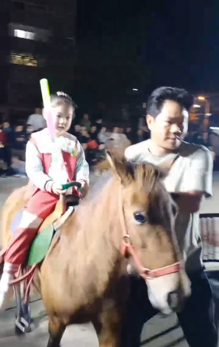 听话的马儿 2024-11-11